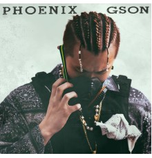 Gson - Phoenix