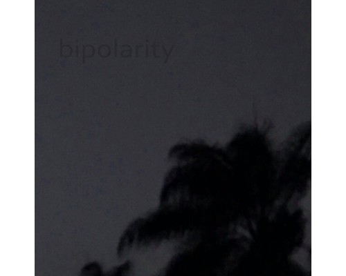 Gui - Bipolarity