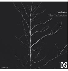 Guidewire - The Ordovician (Original Mix)