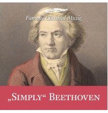 Günter Wand, German Symphony Orchestra Berlin - Simply Beethoven (Famous Classical Music)