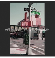 Gus - afternoon in the Brooklyn