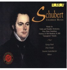 Gyorgy Pauk, Susanne Lautenbacher, Peter Frankl - Schubert: Chamber Music