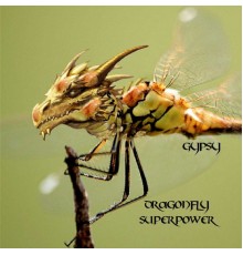 Gypsy - Dragonfly Superpower