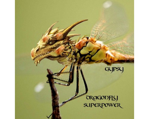 Gypsy - Dragonfly Superpower