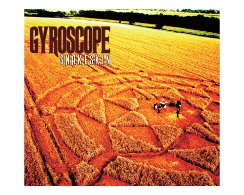 Gyroscope - Snakeskin