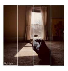 HARVEY - The singles