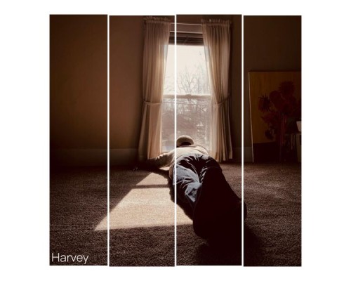 HARVEY - The singles