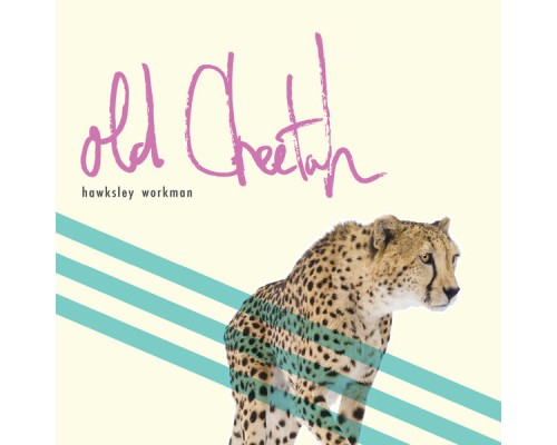 HAWKSLEY WORKMAN - Old Cheetah