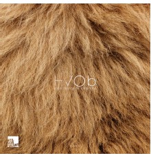 HVOB - Lion