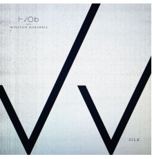 HVOB and Winston Marshall - Silk