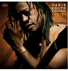 Habib Koite - Afriki