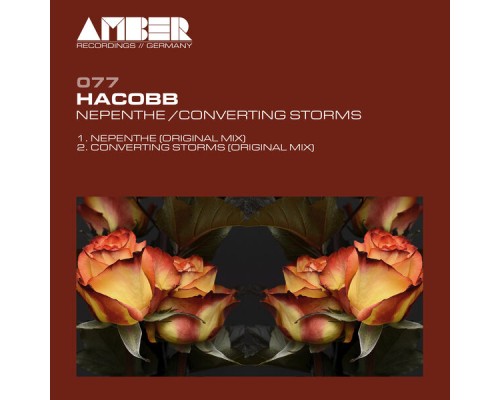 Hacobb - Nepenthe / Converting Storms