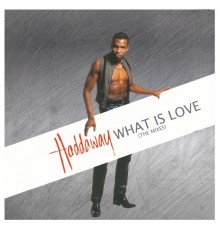 Haddaway - What Is Love  (The Mixes)