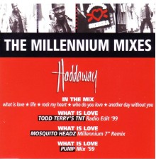 Haddaway - The Millennium Mixes