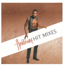 Haddaway - The Hit Mixes