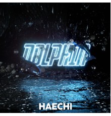 Haechi - Dolphin