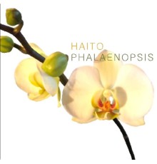 Haito - Phalaenosis (Original)