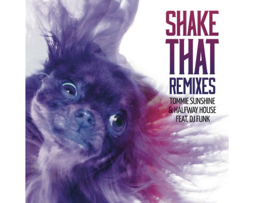 Halfway House - Shake That  (Remixes)