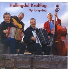 Hallingdal Kraftlag - Ny forsyning