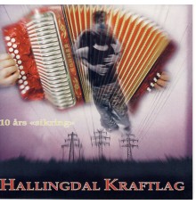 Hallingdal Kraftlag - 10 Års Sikring