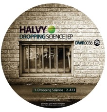 Halvy - Dropping Science (Original Mix)