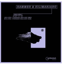 Hammer, KILIMANJARO - Muleña EP