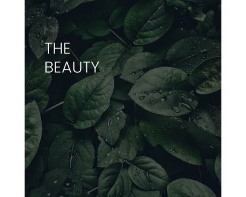 Hanna - The Beauty