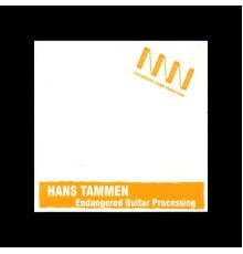 Hans Tammen - Endangered Guitar Processing