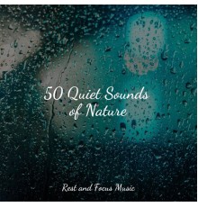Happy Baby Lullaby Collection, Kinderlieder Megastars, Yoga Sounds - 50 Quiet Sounds of Nature