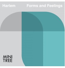 Harlem - Forms and Feelings