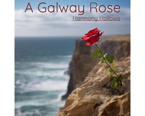 Harmony Hollows - A Galway Rose