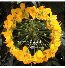 Harold Budd - Avalon Sutra