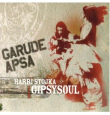 Harri Stojka Gipsy Soul - Garude Apsa (Hidden Tears)