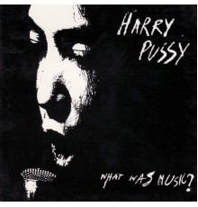 Harry Pussy - What Was Music?