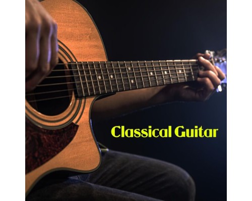 Harsha Nawlani - Classical Music Guitar & Violin