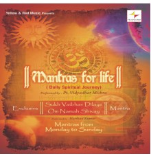 Harshad Kumar & Pt. Vidya Dhar Mishra - Mantras for Life