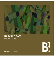 Harvard Bass - Mr. Moya EP