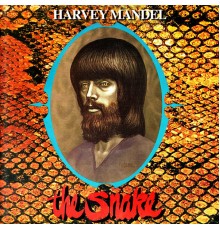 Harvey Mandel - The Snake