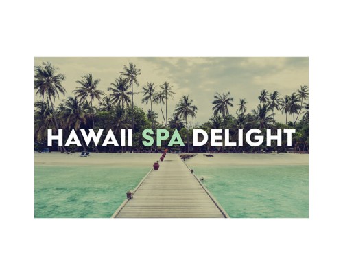 Hawaii Soothing Waves, Spa Music Paradise Zone - Hawaii Spa Delight: Lomi Lomi Massage, Mental Relaxation, Enhance the Body's Natural Healing Power