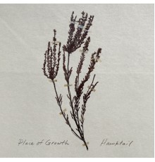 Hawktail - Place of Growth