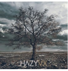 Hazy - V.X.