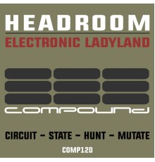 Headroom - Electronic Ladyland