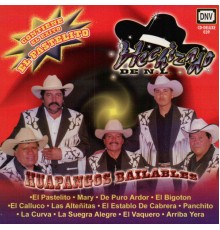 Hechizado de linares - Huapangos Bailables