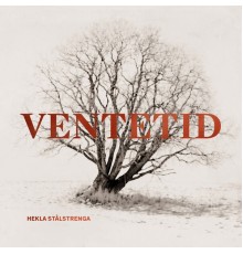 Hekla stålstrenga - Ventetid