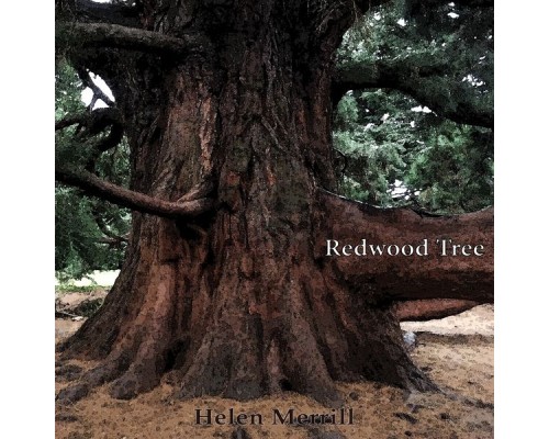 Helen Merrill - Redwood Tree