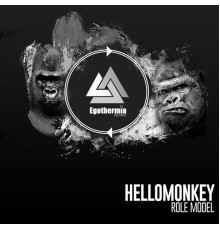 Hellomonkey - Role Model (Original Mix)