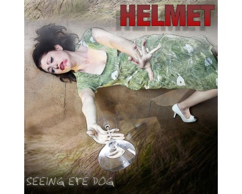 Helmet - Seeing Eye Dog