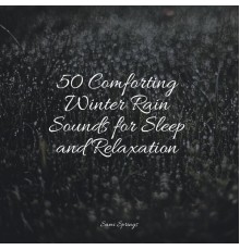 Help Me Sleep, Tinnitus, Ambient Arena - 50 Comforting Winter Rain Sounds for Sleep and Relaxation
