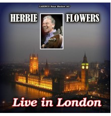 Herbie Flowers - Live In London