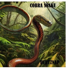 HertzNap - Cobra Snake